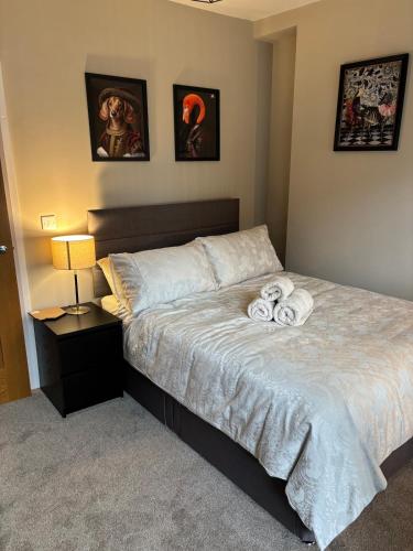 Beautiful 2 bedroom entire home in Ballyhackamore