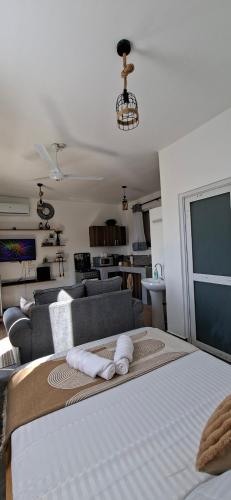 Homely studio Apartment 2 in Mtwapa