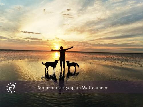 Ferienwohnung De Reetpieper Wohlfühlen am Nordseedeich - image 4