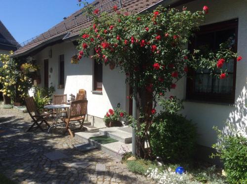 Ferienwohnung Sonne-Stadtrand Dresden - Apartment - Moritzburg