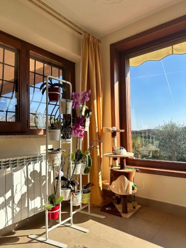 Linda's Retreat in Fiano Romano