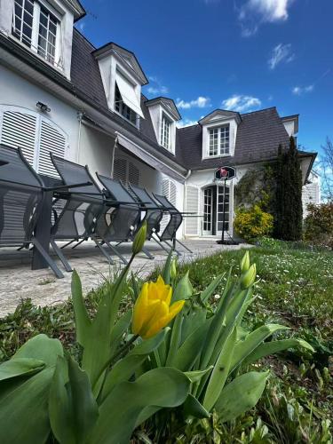 Signature Residence, 5 Bedroom Detached House 1000 square meters,15 min to Paris by Metro in Шато