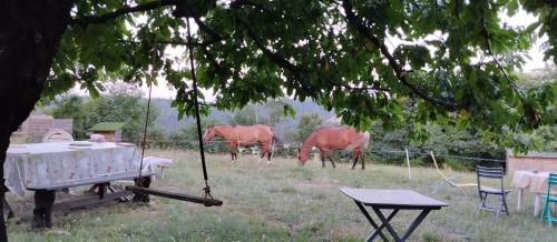 Kilátás, Mini camping Les Soleillas in Gluiras