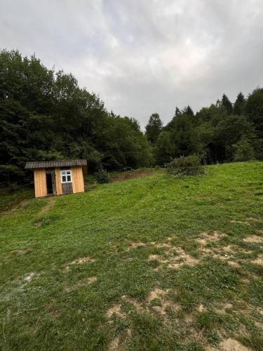 Дідова Хата in 舍斯賀里