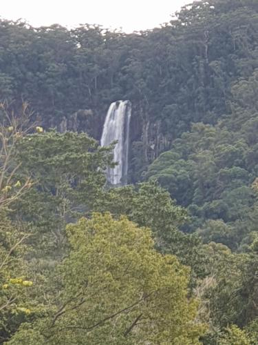 Quandong Valley Inn in Repentance Creek