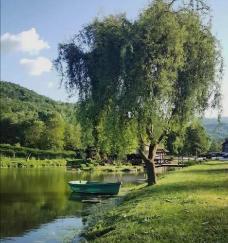 PODNOZJe KOPAONIKA in Brus