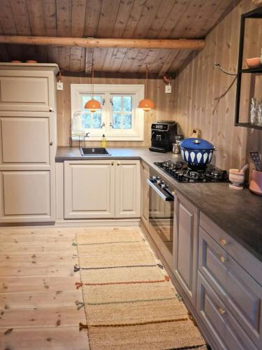 Authentic Mountain Cabin In Ringebufjellet
