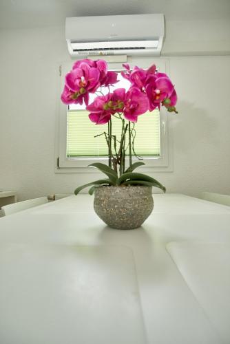 Hotel City Inn - image 34