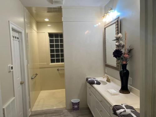 Mardi Gras Suite at NOLA Rendezvous waterfront - image 14
