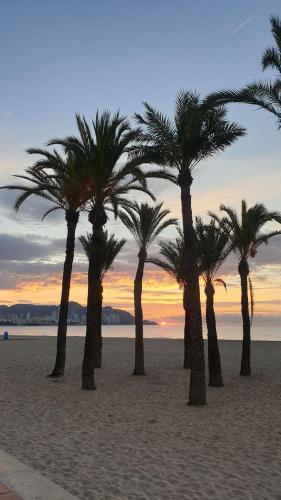 Levante Frontline Luxury Duplex 5 Bedrooms, Benidorm (Foto 4)