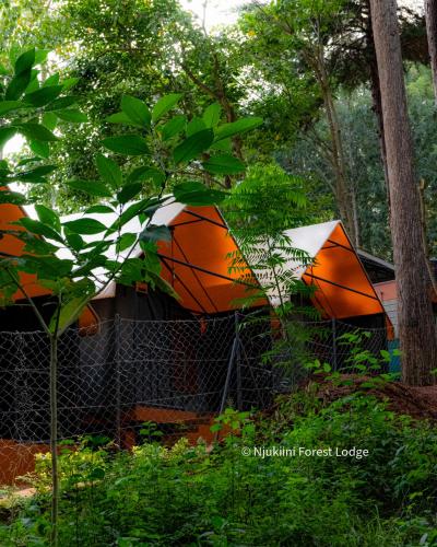 Njukiini Forest Lodge in Embu
