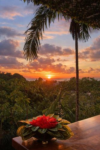 Pemandangan, Mountain Top Park Hotel in Quepos