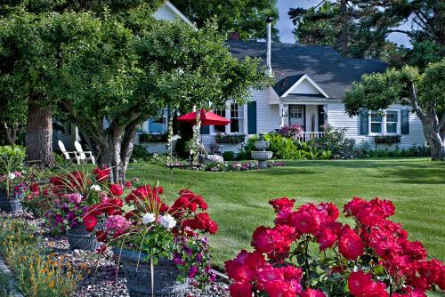 Cozy Rose Inn