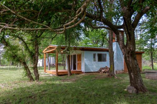 Serendipia Chic in El Torreón