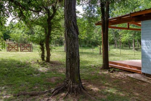 Serendipia Chic in El Torreón