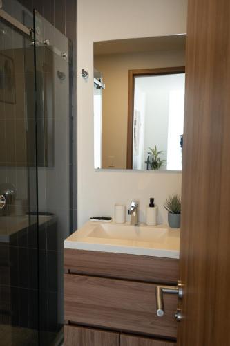 Furnished 2 Bedroom Apartment in Mexico City - image 3