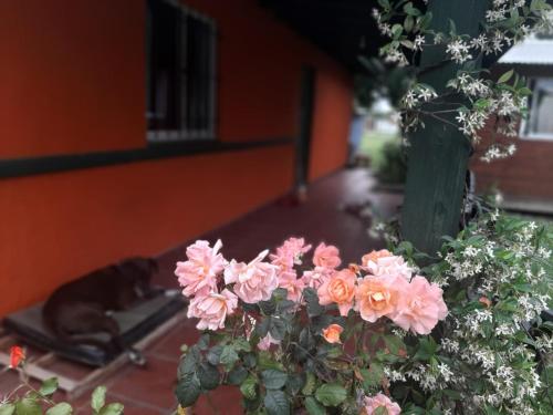 La casa de porota in Atlantida
