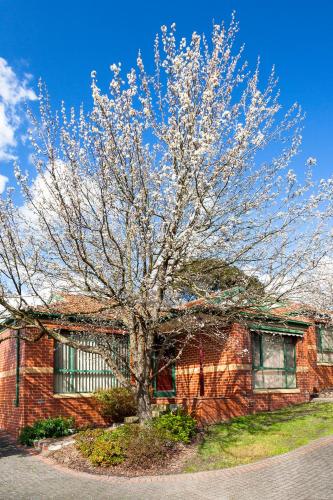 Mount Waverley Townhouses