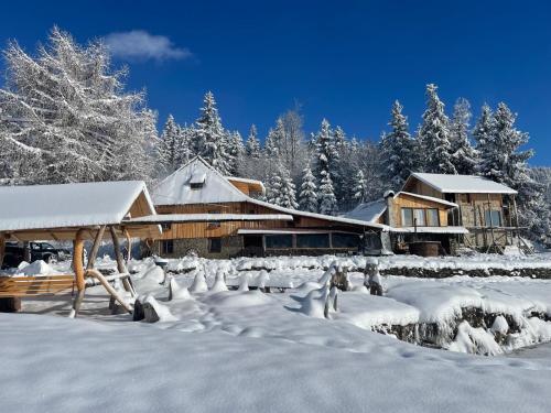 Cabana Virful Muntelui in Horea