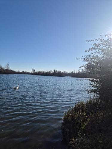 le st fursy 1 in Peronne