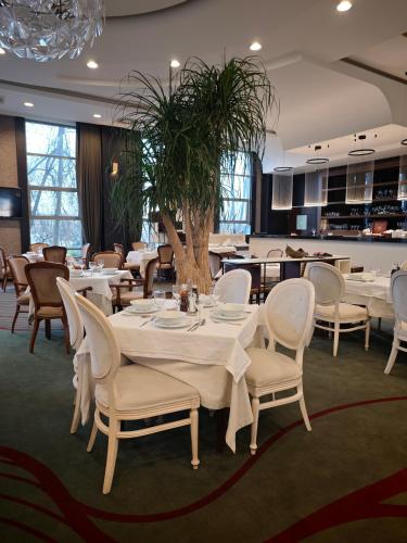 Ресторан, Amazona Hotel in Приштина