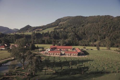 Apartmentdorf Flößerstube in Grossraming, Österreich