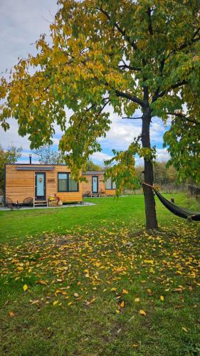 Skats, Retezat83 Sunshine tiny home , adults only in Riu De Mori