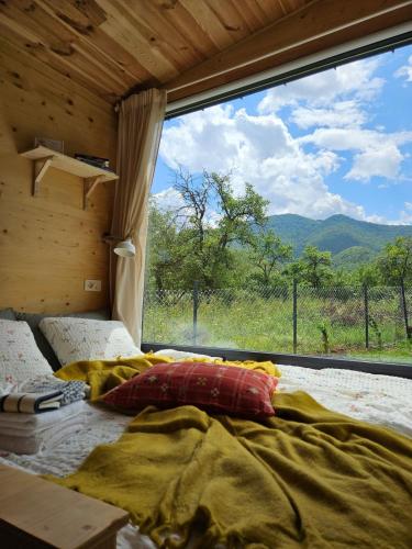 Skats, Retezat83 Sunshine tiny home , adults only in Riu De Mori
