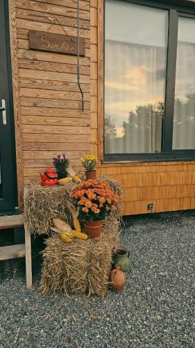 Balkons/terase, Retezat83 Sunshine tiny home , adults only in Riu De Mori