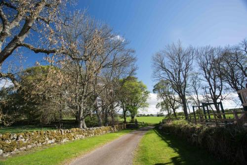 Ayrshire Cottage in Daviot