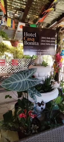 HOTEL CASA BONITA LA LIMA SAN PEDRO SULa in La Lima