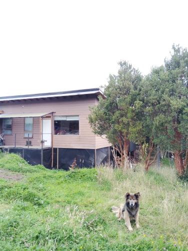 Cabaña el turbio (Cabana el turbio) in 艾森港