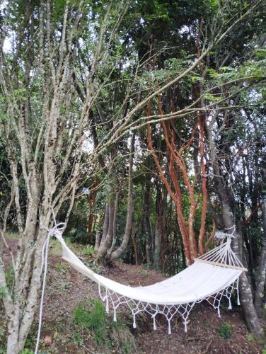 Cabaña el turbio (Cabana el turbio) in 艾森港