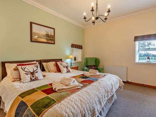 Iekārtas, 1 Bed in Edzell oc-ca335 in Edzela