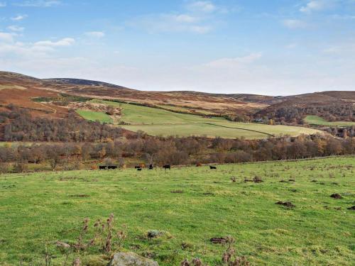 Iekārtas, 1 Bed in Edzell oc-ca335 in Edzela
