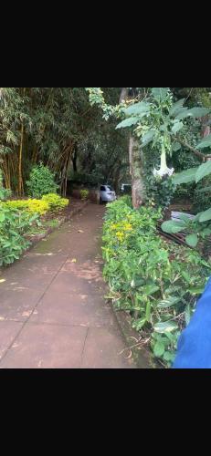 Samawati BnB in รูอากา