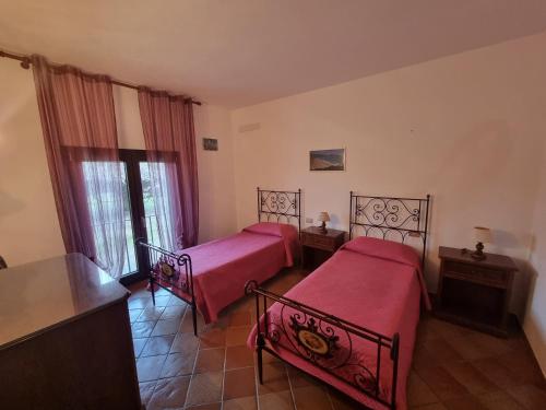 Azienda Il Tizzano in Альбініа