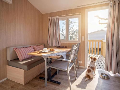 3 bedrooms, 5 beds