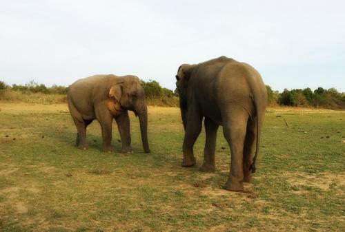 Secret River Side Safari Lodge