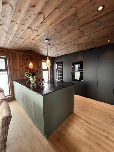 Skirvedalen - New cabin with panoramic views! in Austbygd