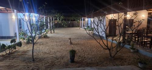 Summer wave kudawa and Kite surfing school in Kalpitiya