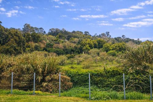 Galamares Nest in Galamares