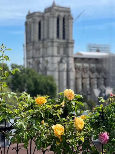 Rooftop Garden Triplex With AC Over Notre - Dame - image 8