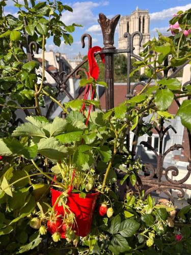 Rooftop Garden Triplex With AC Over Notre - Dame - image 6