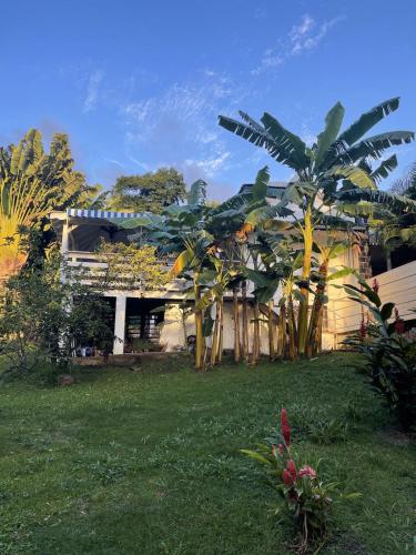 Kaz du Héron Vert - Location saisonnière - Pointe-Noire