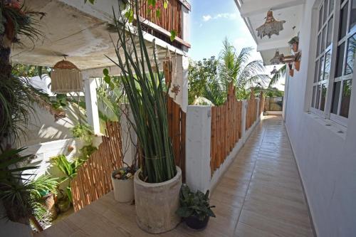 Casa Nomis Cancun, Cancún (photo 8)