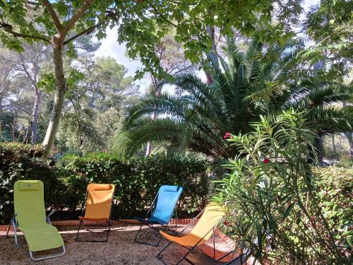 Garden, Le Damiseu in Le Bonfin