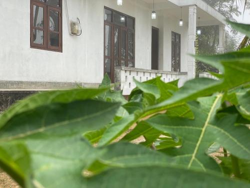 Skats, Leafora Sinharaja I Rainforest Villa in Deniyaya