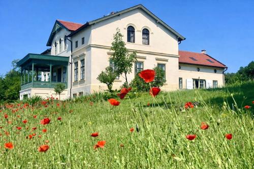 外部景觀, 10-Minute Walk to Lake Balaton - Exclusive Castle in 鮑洛托瑙考利