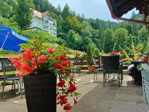 Hotel Pfaff in ทริเบิร์ก